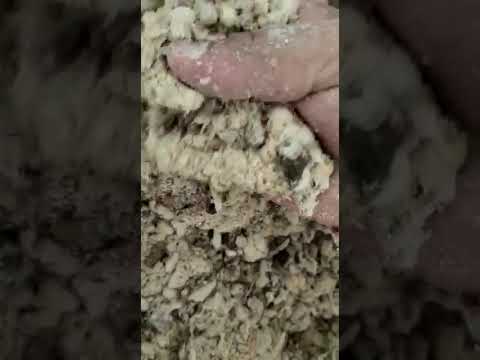 Amrut Pashupati Pashuahar