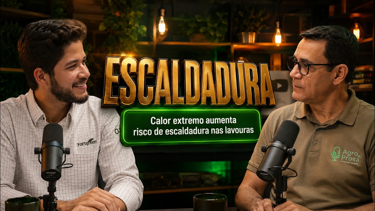 Calor extremo amplia risco de escaldadura nas lavouras