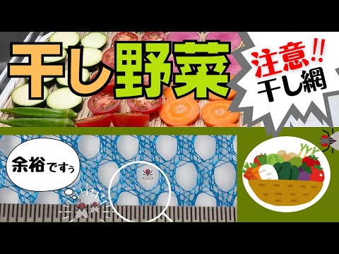 , title : '【食糧備蓄】初めて干し野菜を作ったら大変な事になった！｜干し網の問題点とは？'