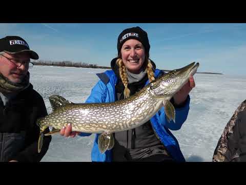The BEST way to catch GIANT Pike through the Ice