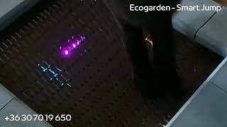 Ecogarden Smart Jump interaktív trambulin