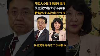 【許すな】外国人生活保護を激増させた民主党を激詰めする片山さつき【自民党/高市早苗】