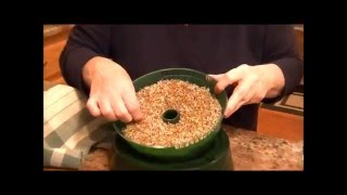 Sprouting Alfalfa Seeds 101 | Grow Your Own!