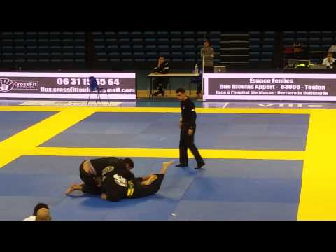 Final absolut adult purple belt opende france 2015