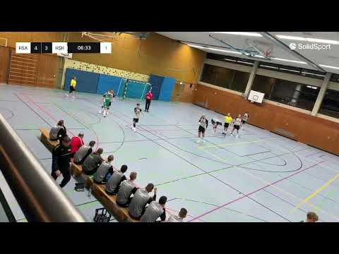 1. Männer HSG Aschafftal vs HSG Haibach/Glattbach