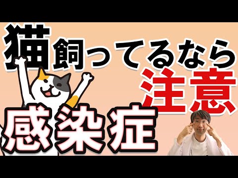 猫がトキソプラズマ症に感染しているかどうかを知る方法