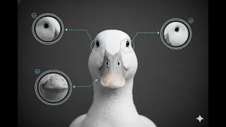 Critical Verification in 60 seconds with ChatGPT