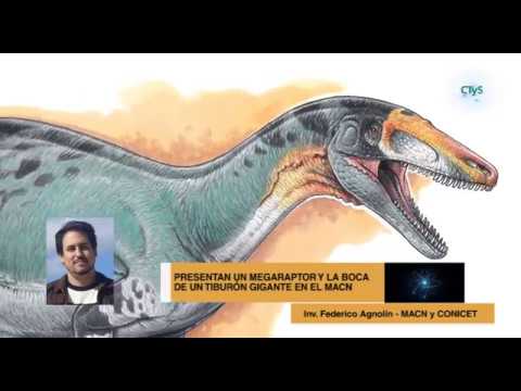 Video: Megaraptor