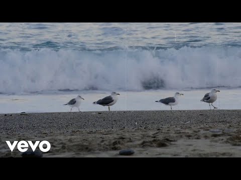 Mladen Grdović - Samo Ti, Dalmacijo ft. Bepo Matešić