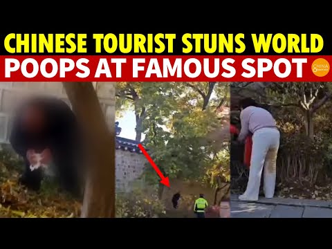 Shocking Scene at Seoul’s Gyeongbokgung Palace: Chinese Tourists Caught Pooping by Ancient Wall
