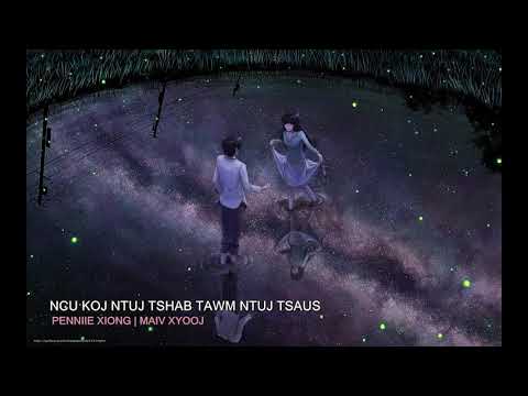 Ncu Koj Ntuj Tshab Tawm Ntuj Tsaus (COVER) Penniie Xiong