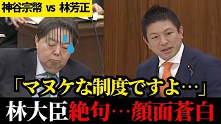 【国民ドン引き】神谷宗幣の怒りのド正論に林大臣がぐうの音も出ない【神谷宗幣】【参議院総務委員会】【林芳正】