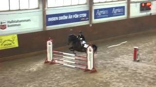 preview picture of video '2015 03 15 Strömsholm Jonas o Chip 1m'