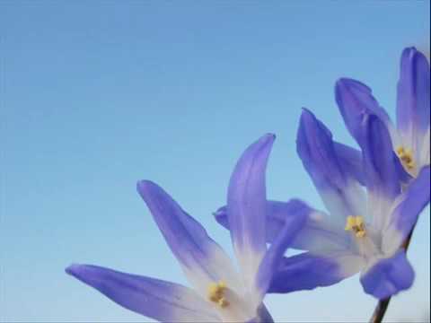 Giorgos Mazonakis : Di lai lai la