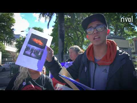 VECINAS Y VECINOS DE TIL TIL LLEGAN AL CONGRESO