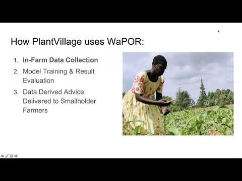 PlantVillage and the WaPOR database