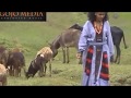 Melaku Negus Shegawa