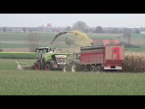 Persyn Agri: Mais hakselen.