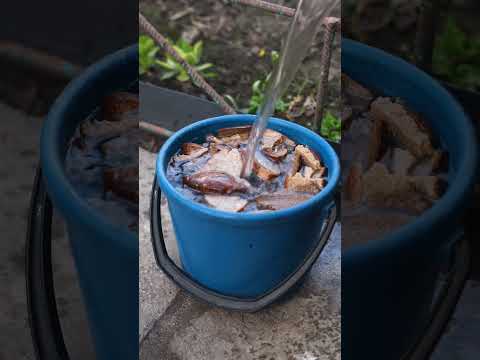 Пионы будут усыпаны крупными и ароматными цветами, если сделаете так!