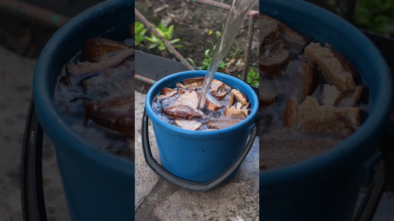 Пионы будут усыпаны крупными и ароматными цветами, если сделаете так!