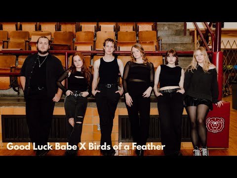 The Hibernotes: Good Luck Babe X Birds of a Feather