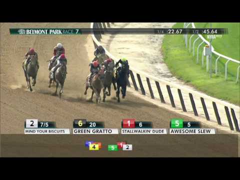 Mind Your Biscuits - 2017 Belmont Sprint Championship