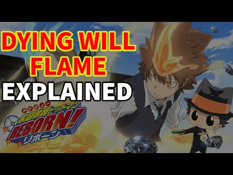 Dying Will Flame Explained: The Vongola Ring's power source  | Katekyo Hitman Reborn