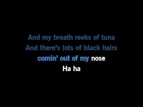 Adam Sandler - Lunchlady Land [Karaoke Version]