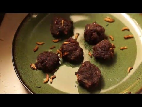 How to Make Duck Pemmican #MmmGoot