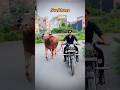 Badmashi Khulke Tushar Payla Maa Ne Sikhaya Gyanender Shardhana