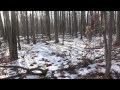 Goner Music Video- twenty one pilots 