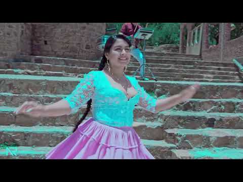 LUZ DANNY - Amorcito Pasajero (Zapateo 2025)