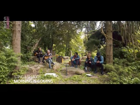 Morning is Coming - Sting & Shaggy - Chateau d'Hérouville recording 2018