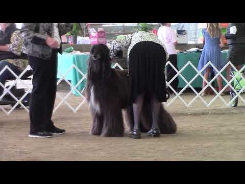 download lagu mp3 mp4 Hl s Marco, download mp3 Hl s Marco free downloadn, video klip Hl s Marco