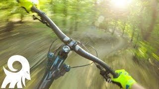 Sunset lap of Arbor Hills Nature Preserve