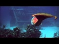 Splash 1984 720p Under Water Scene