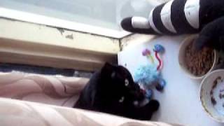 Grudius the Gangster