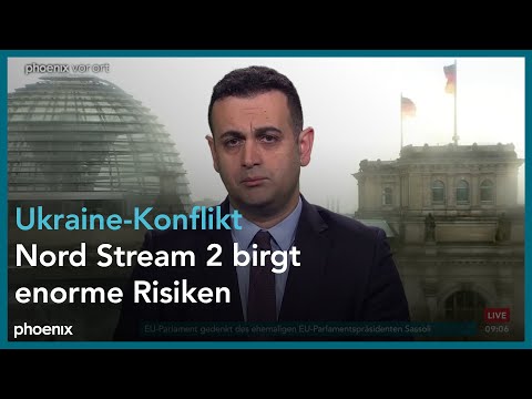 phoenix tagesgespräch mit Bijan Djir-Sarai zur Ukraine-Krise am 17.01.22