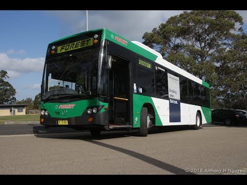 Forest Coach Lines [Terrey Hills] Mercedes-Benz OC500LE / Custom Coaches CB60 Evo II, m/o 5182