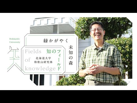 知のフィールド #6 北海道大学 和歌山研究林「緑かがやく 未知の森」