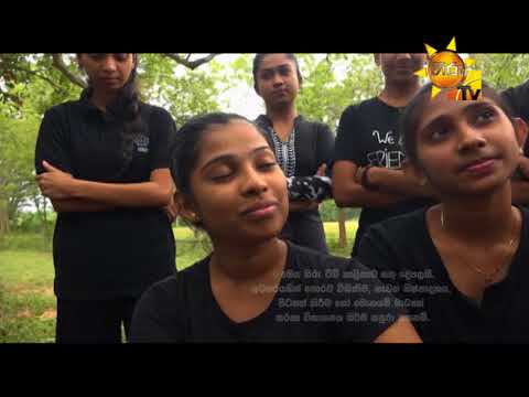 Hiru TV