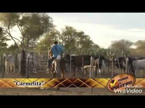 Bonde do vaqueiro - carmelita