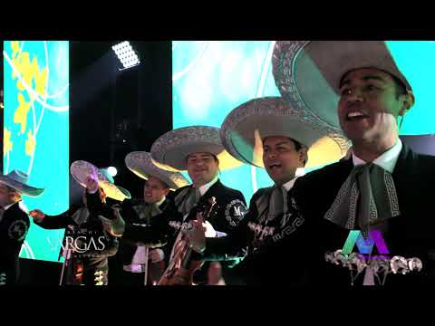 Son de la Negra, Mariachi Vargas VIVA MÉXICO