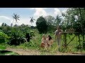 KEEN V LES MOTS Clip Officiel