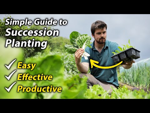 Succession Planting | Amazing Way to Extend Your Cropping and Increases Your Garden's Productivity