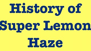 Super Lemon Haze 🍋 Grow Tips, Effects & History!!