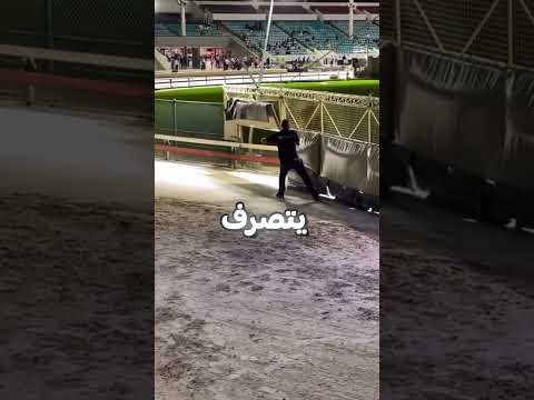 أهم وظيفة في سباق الكلاب 😨!