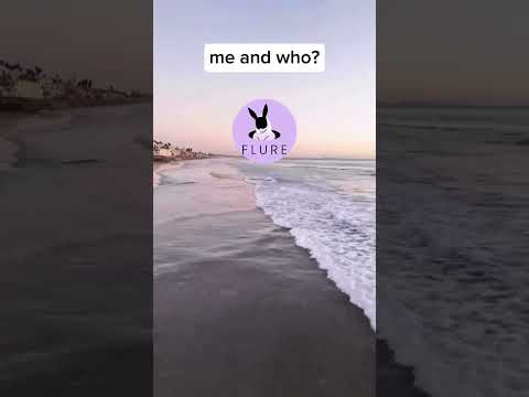 did you see that?#dog #unhinged #meme#nature #ocean #couple #meandwho