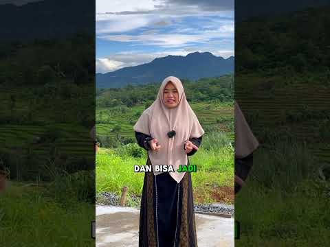 Progres Kavling Isykariman 1