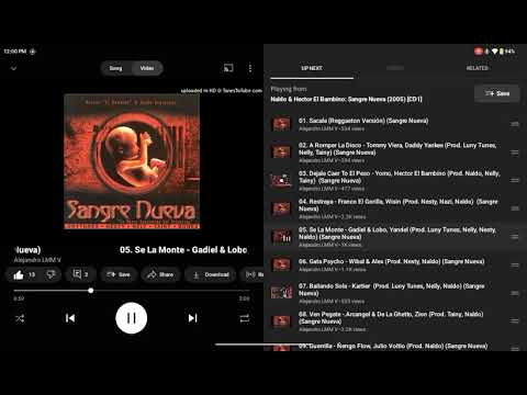 Sé La Monte (Feat. Gadiel & Lobo) - Yandel (Sangre Nueva CD1)